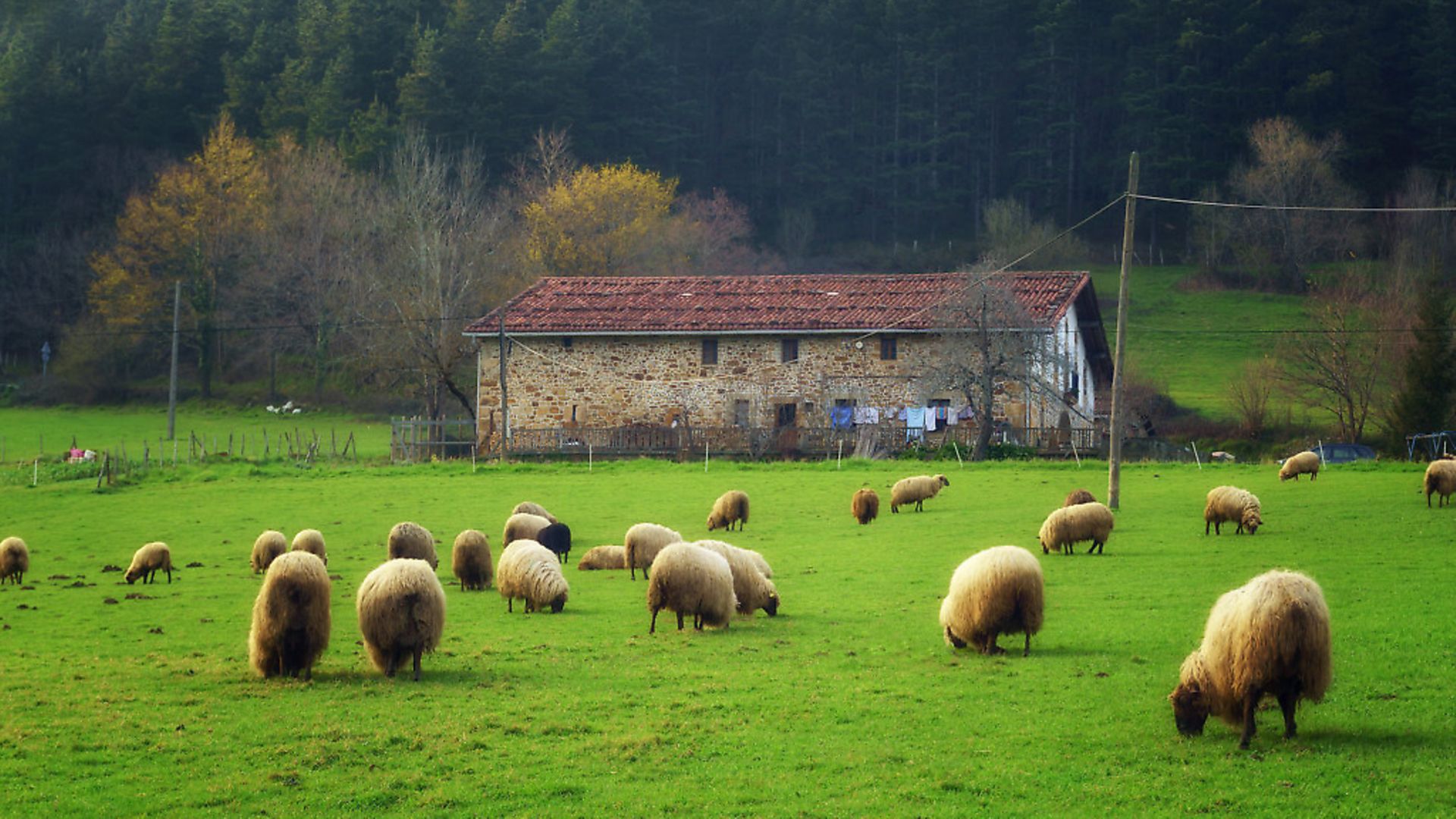 french-property-how-to-set-up-your-own-smallholding-complete-france