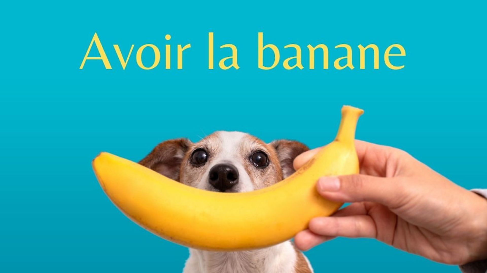 11 French language expressions using fruit and vegetables Complete France