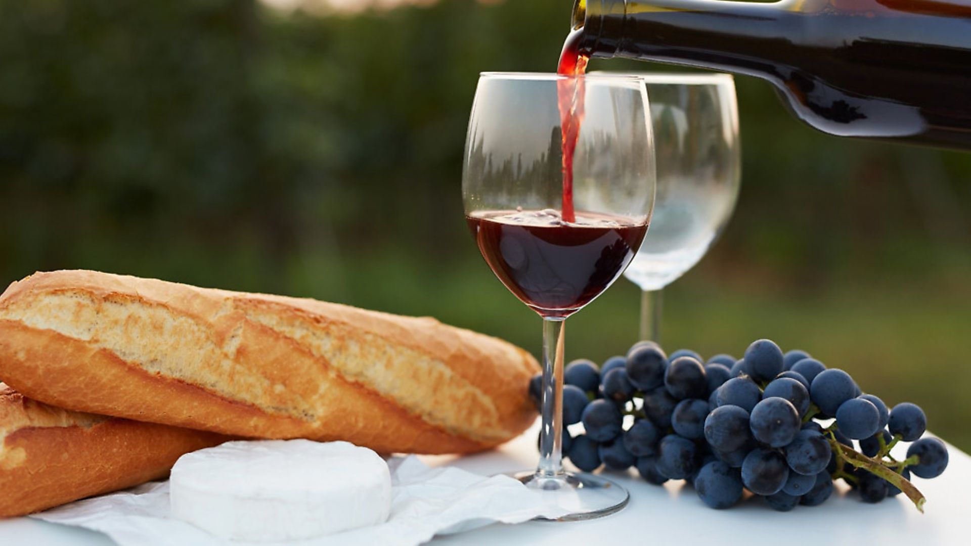 Guide to red wines from France Complete France