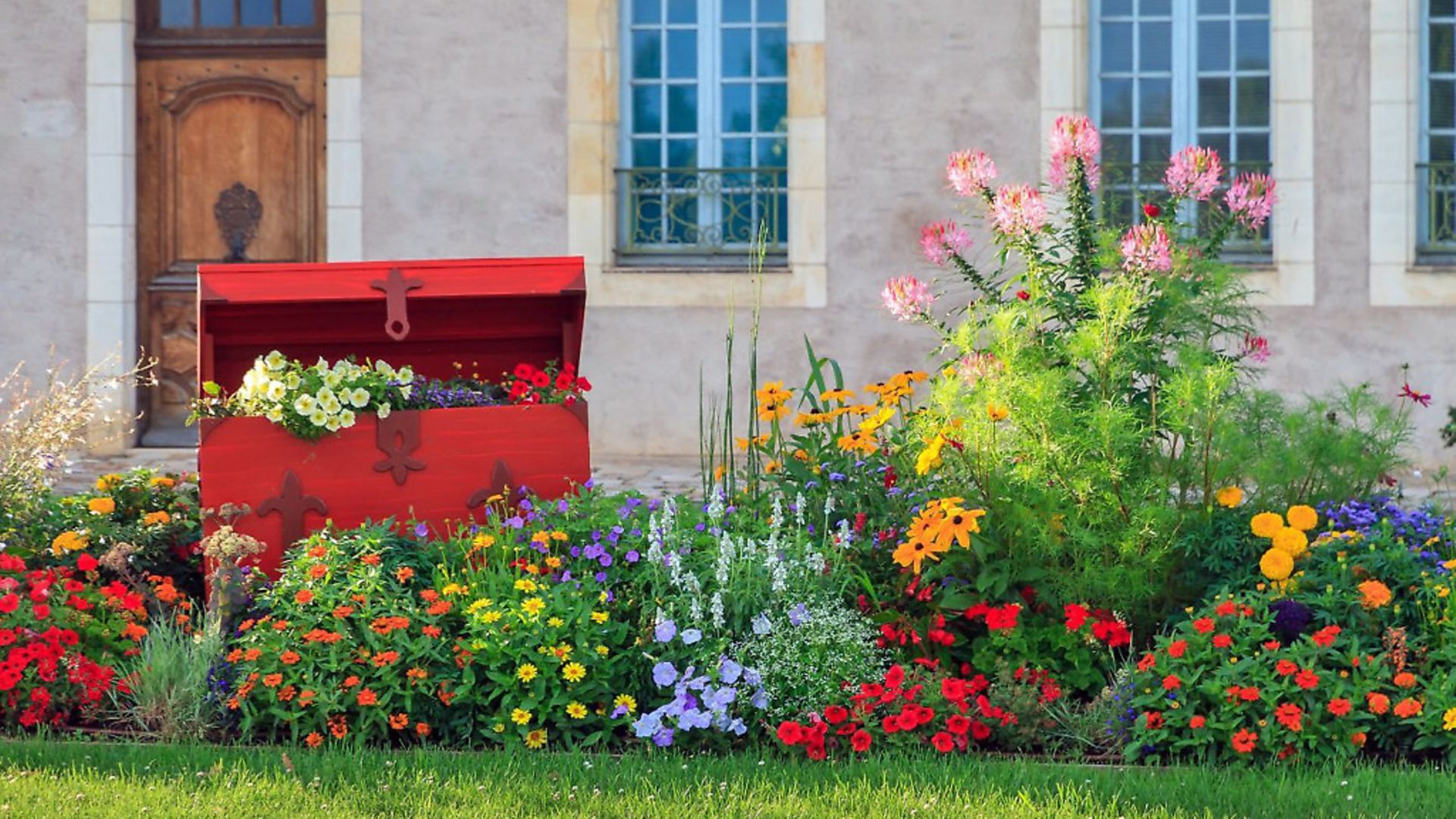 What Are The Rules On Taking Plants To France After Brexit Complete 