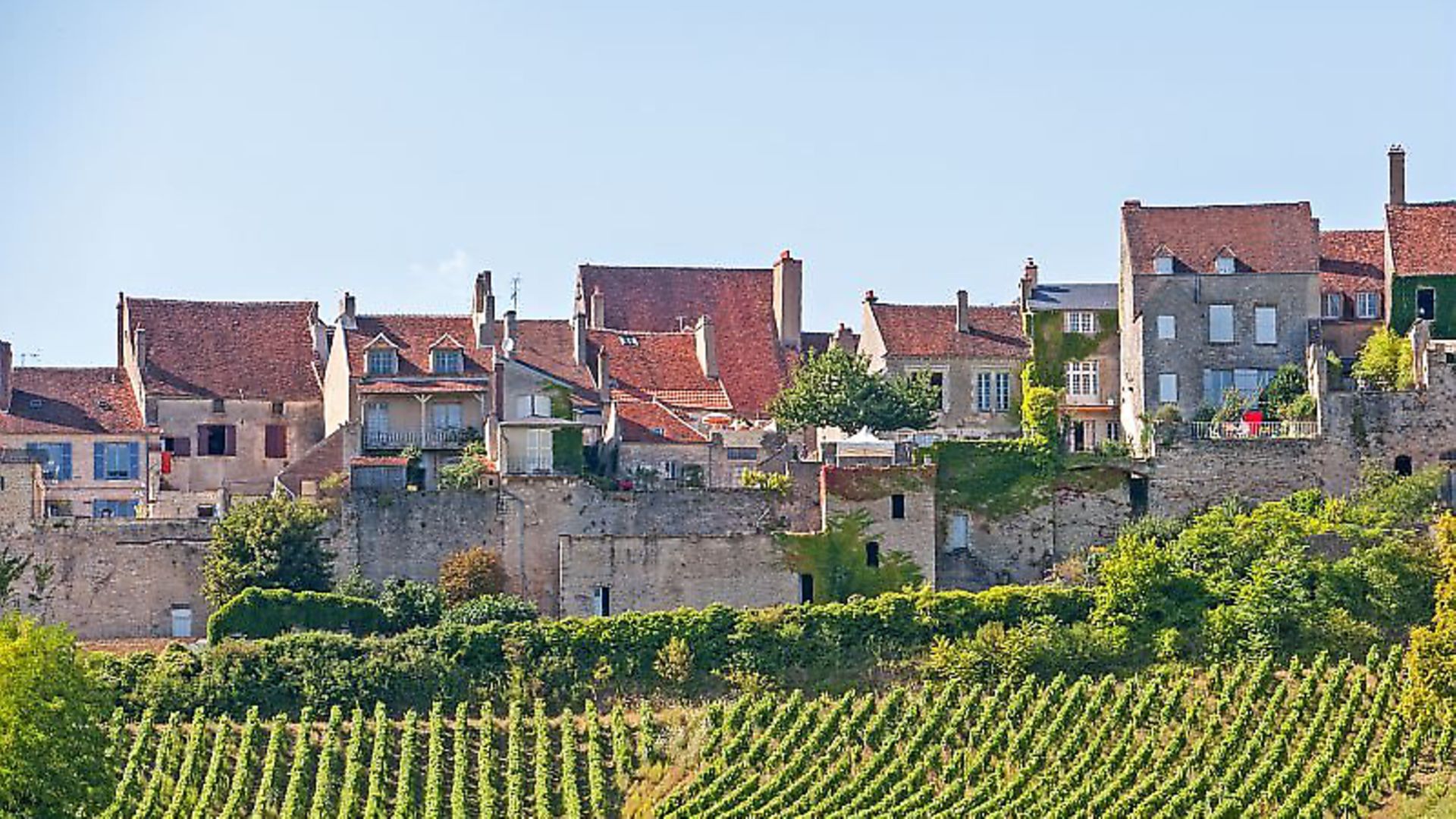 10 great French regional wine festivals Complete France